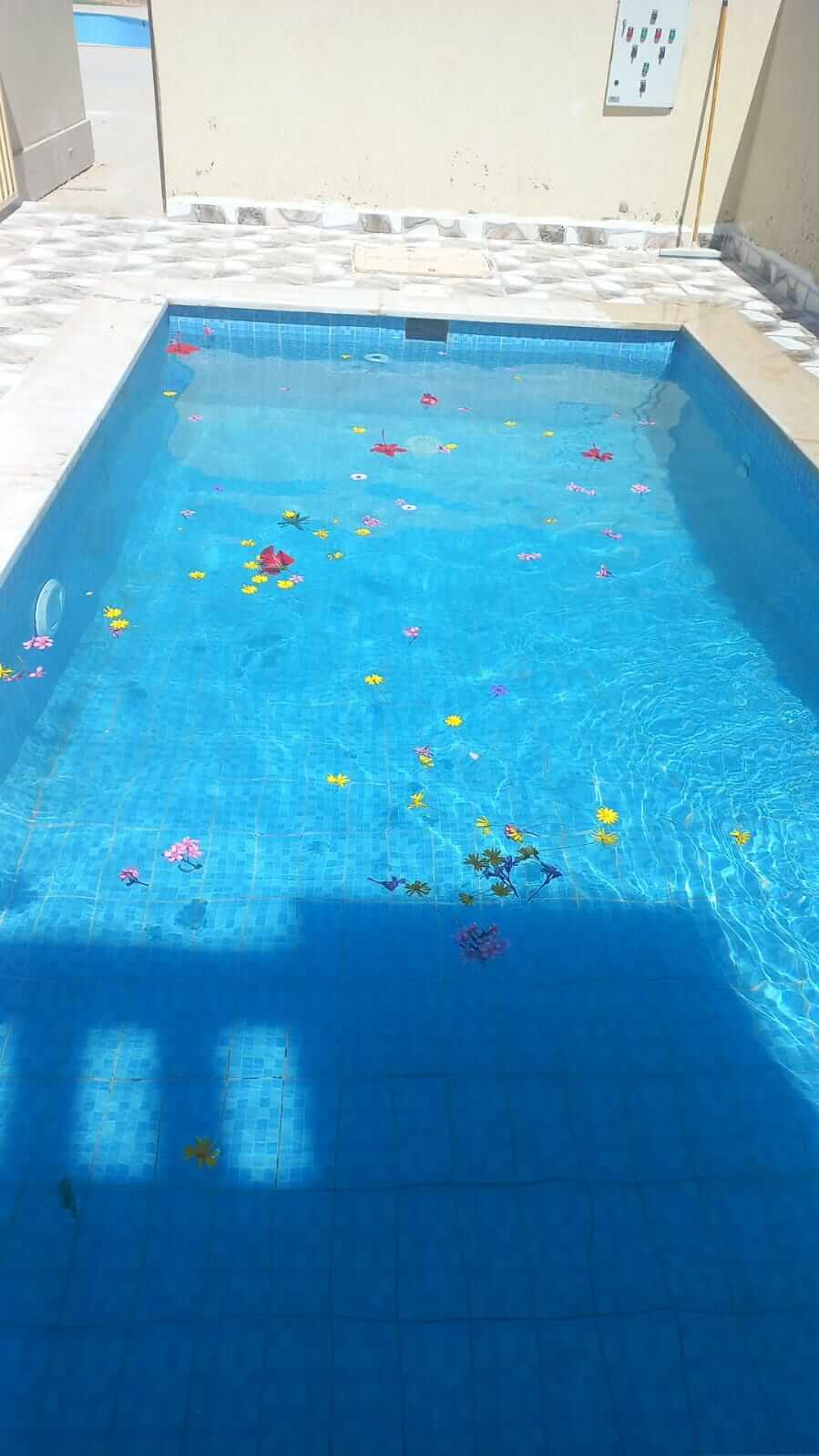 WhatsApp Image 2026-04-11 at 1.43.31 PM (1)