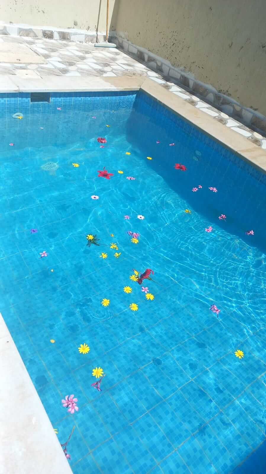 WhatsApp Image 2026-04-11 at 1.43.31 PM