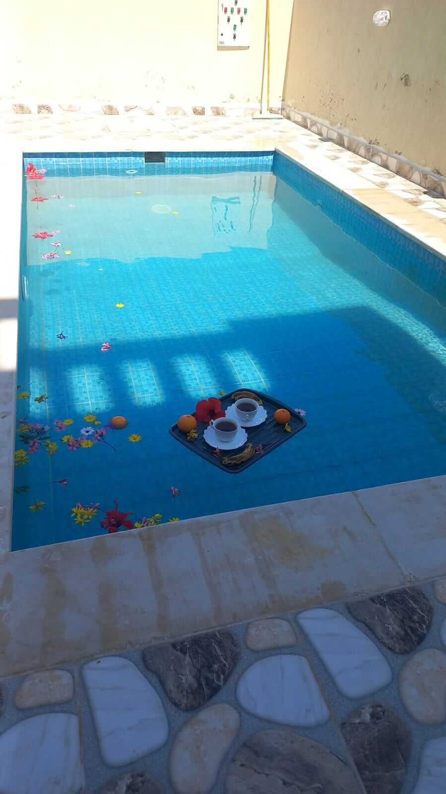 WhatsApp Image 2026-04-11 at 1.43.36 PM (2)